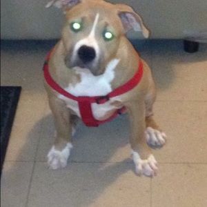 Meet your Posher, Charlene